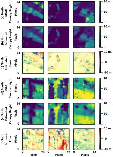 Canopy Height Estimation